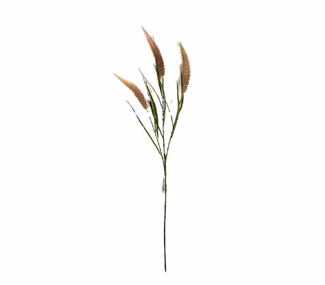 Kvist Rosa 100cm