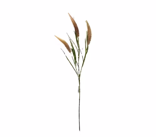 Kvist Rosa 100cm