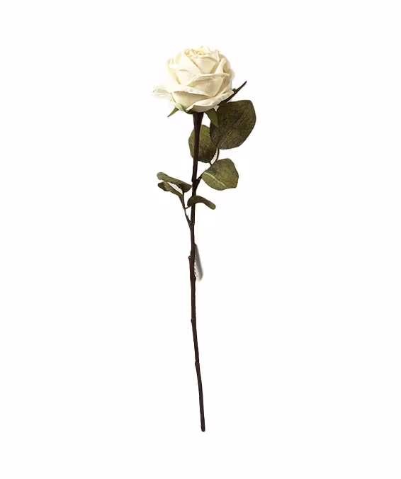 Roskvist vit 51cm