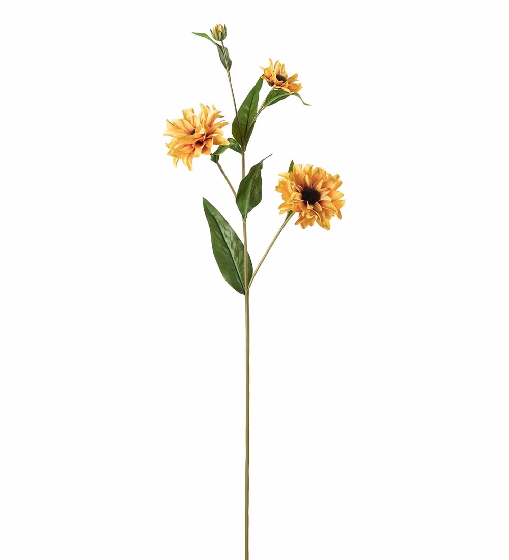 Rudbeckia gul 80cm