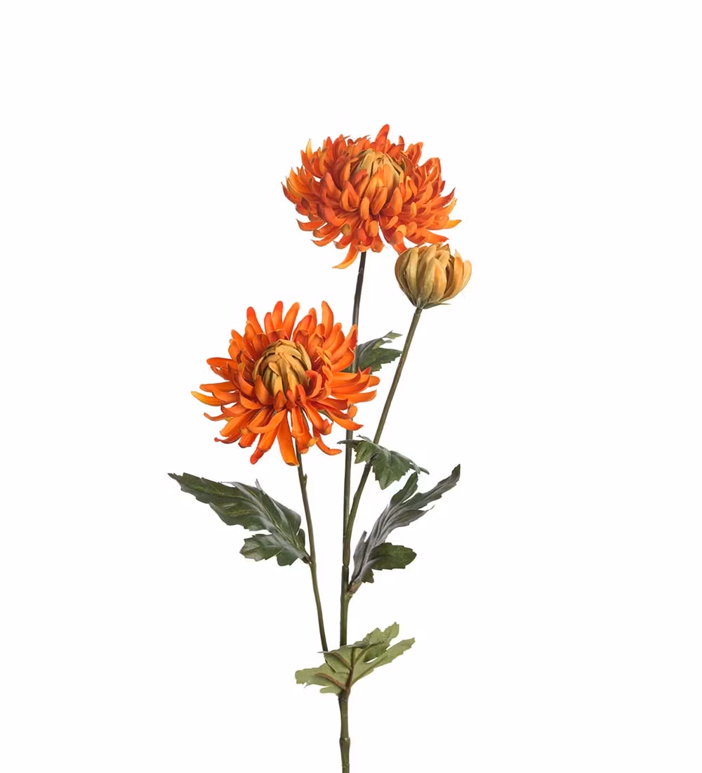Chrysanthemum Orange 60cm