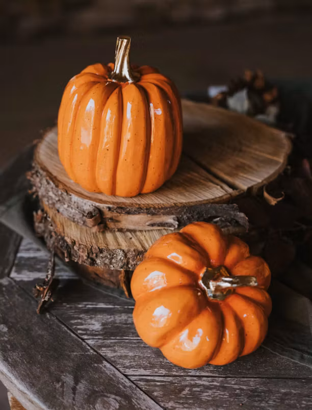 Pumpa Shine Orange 15cm