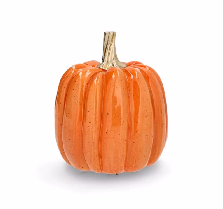Pumpa Shine Orange 17cm