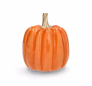 Pumpa Shine Orange 17cm