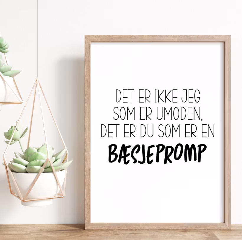 Bæsjepromp