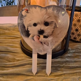 Kaketopp, DITT bilde!