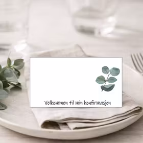 Eukalyptus - bordkort