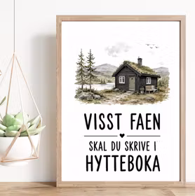 Visst faen skal du skrive i hytteboka