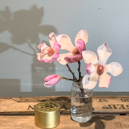 HANATABA - Champagne Guld