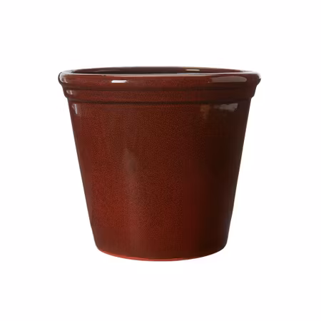 Wikholm Form - Carly