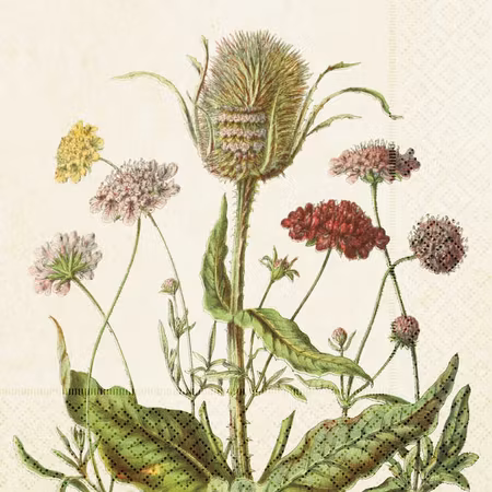 Servett - Blomsteräng