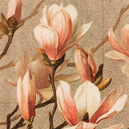 Servett - Magnolia