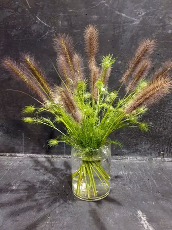 HANATABA - Muddy brown
