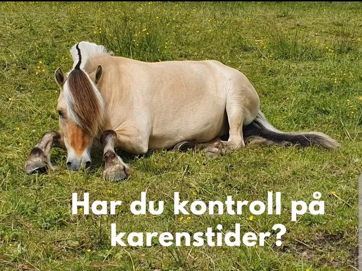 Har du kontroll på dopingreglement og karenstider?