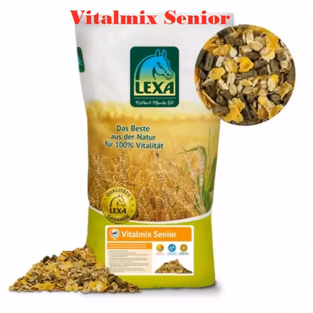 Vitalmix Senior
