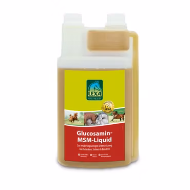LEXA Glucosamin-MSM-Liquid