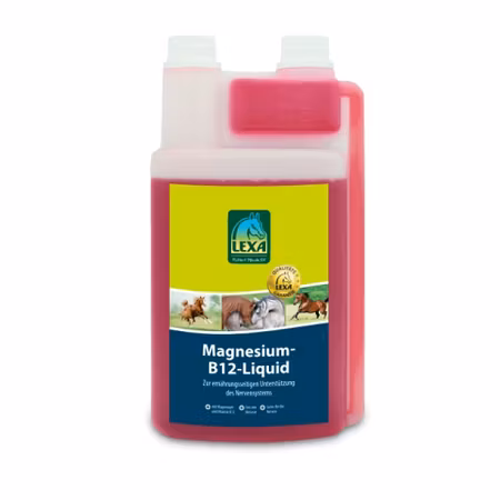 LEXA Magnesium-B12-Liquid