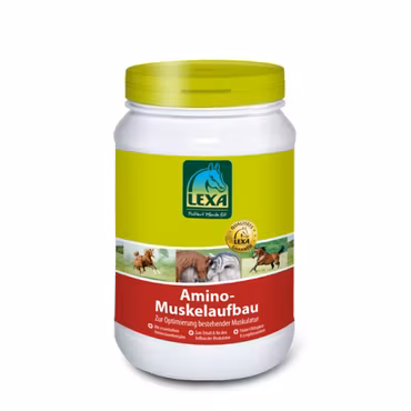 LEXA Amino-Muskeloppbygger