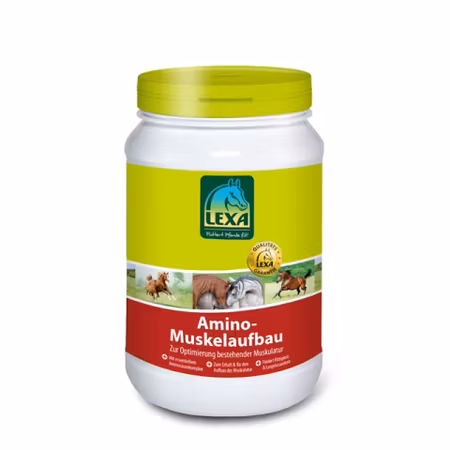 LEXA Amino-Muskeloppbygger