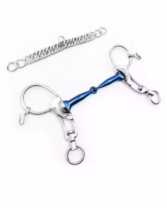 SABINA TITANIUM TODELT