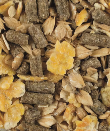 Vitalmix Føll (Unghest)