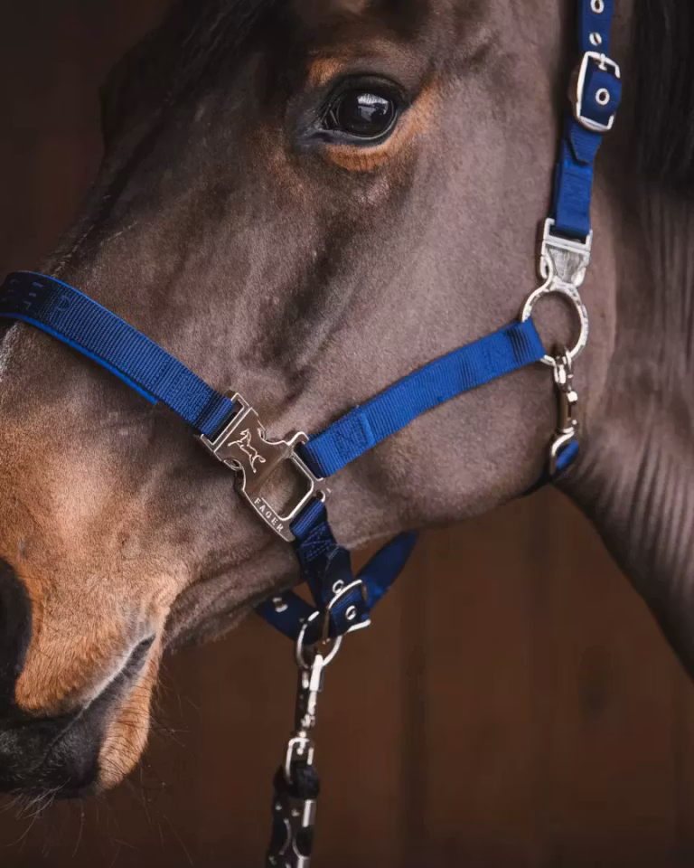 Fager Smart grime, blå