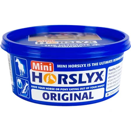 Horslyx Original