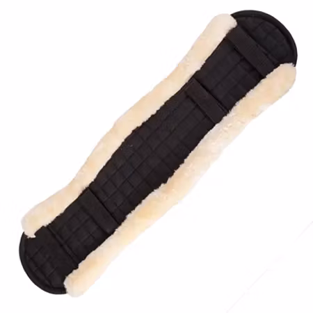 Gjordbeskytter Heimer Pro, dressur