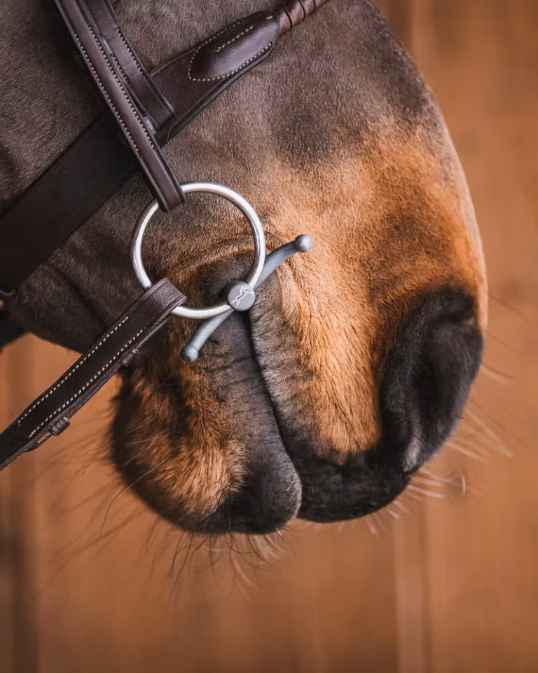 MARIA TITANIUM BABY FULMER