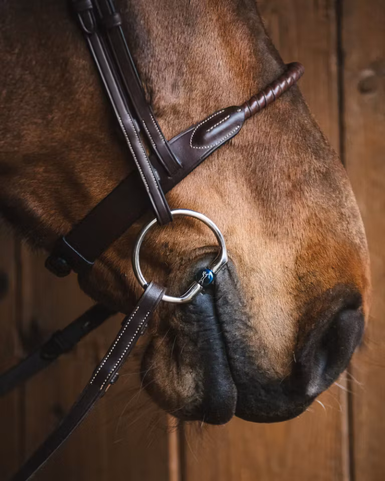 SALLY TITANIUM FAST RING