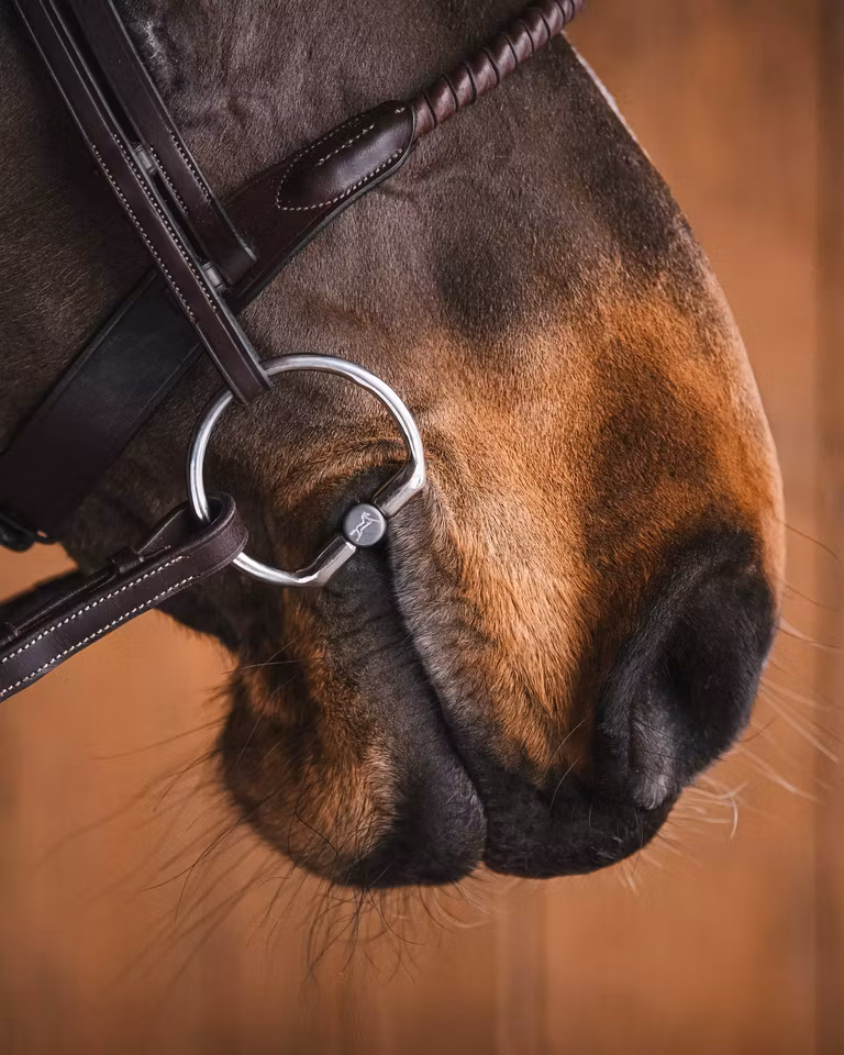 LAURA TITANIUM FAST RING