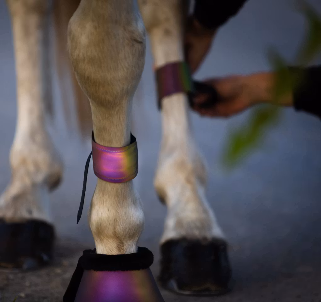 Beinrefleks Rainbow m/spenne