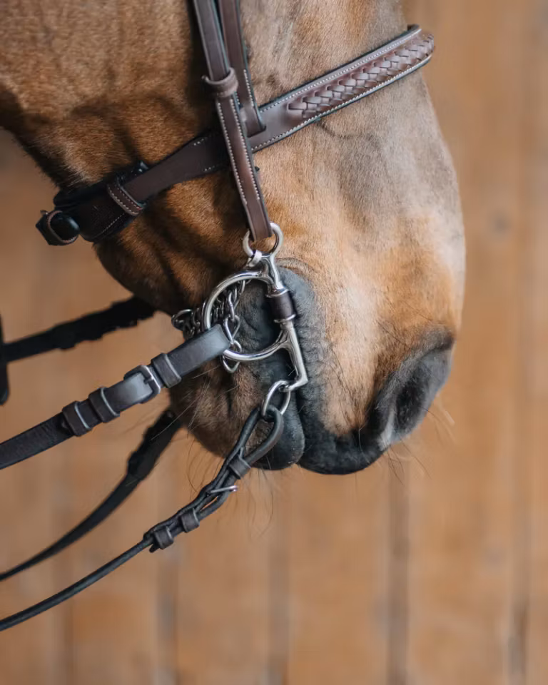 ADAM LÆRBITT BABY PELHAM