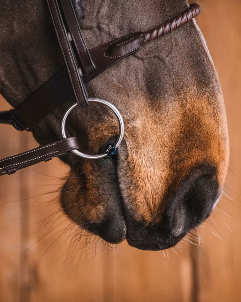 FANNY TITANIUM FSS LØS RING - THB Equestrian