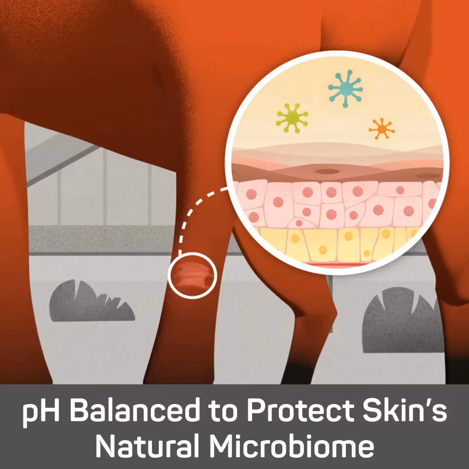 Silver Honey Rapid Skin Relief Medicated Shampoo, Absorbine