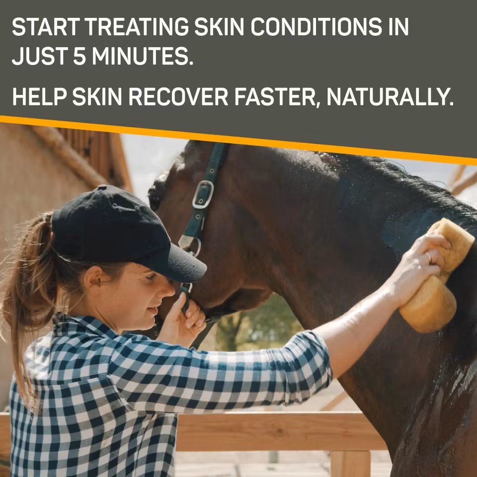 Silver Honey Rapid Skin Relief Medicated Shampoo, Absorbine