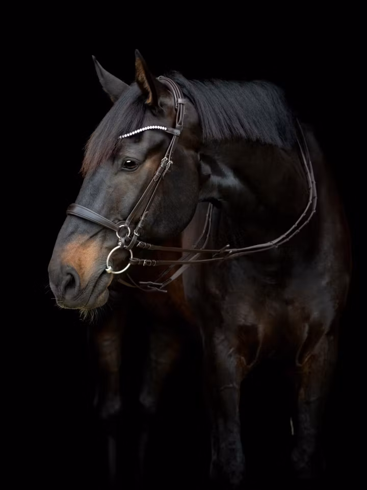 CATAGO Gentle kinnstykker, brun