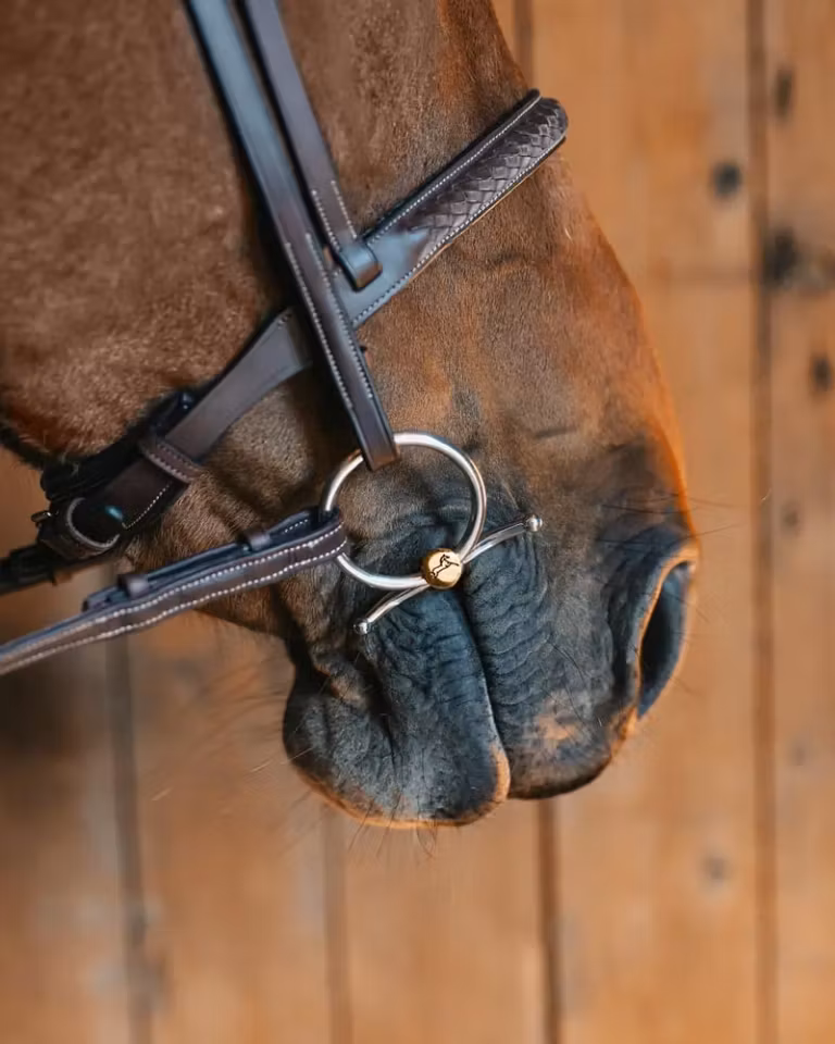 OWEN SWEET GOLD BABY FULMER