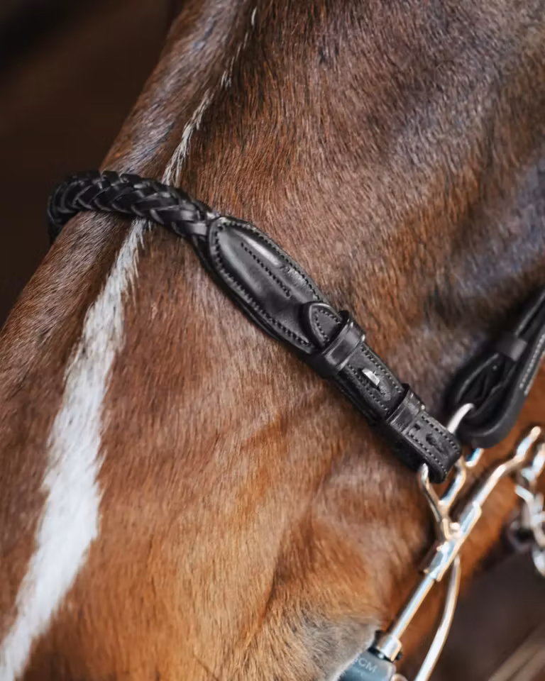 RICHARD NESEDEL I LÆR, SORT