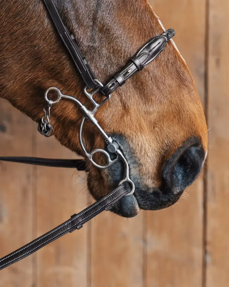 RICHARD NESEDEL I LÆR, SORT