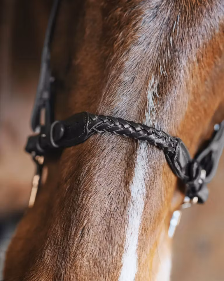 RICHARD NESEDEL I LÆR, SORT