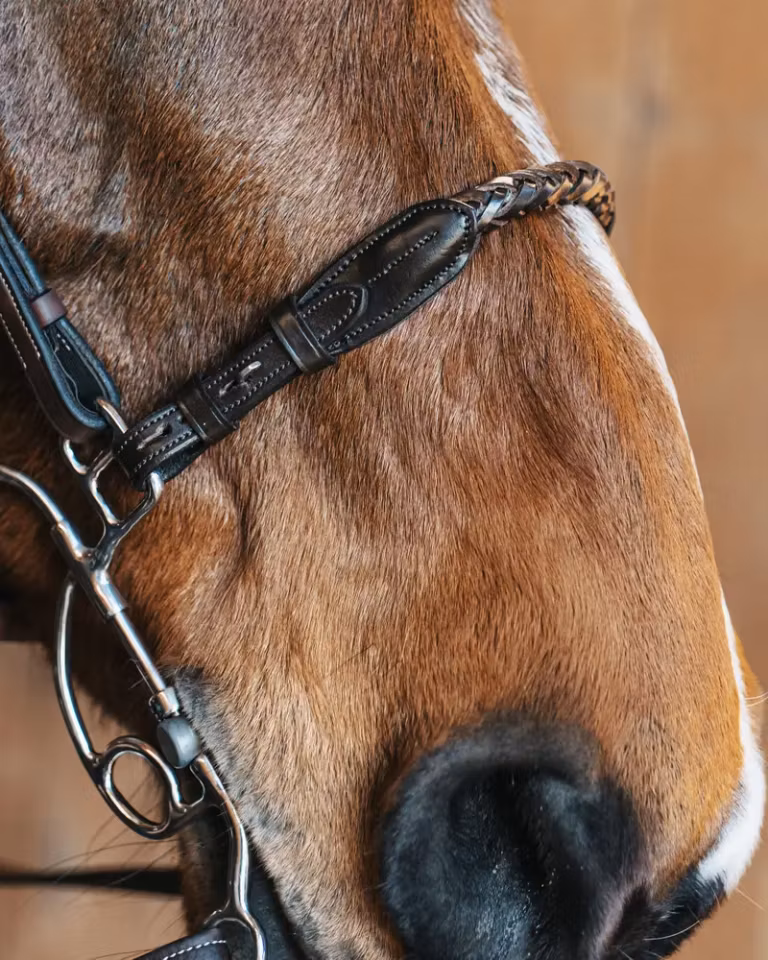 RICHARD NESEDEL I LÆR, BRUN