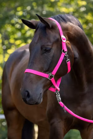 Grime Hippo Rosa