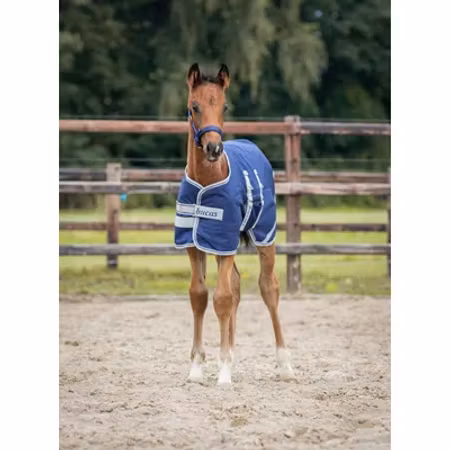 Bucas Foal Turnout 50g