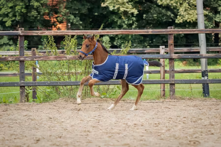 Bucas Foal Turnout 50g