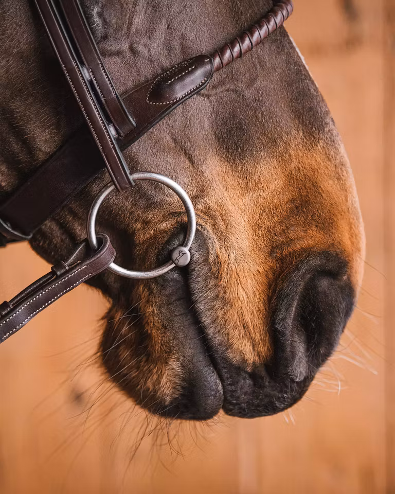 LAURA TITANIUM LØS RING