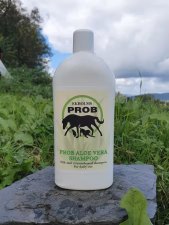 Ekholms PROB - Aloe Vera Shampo