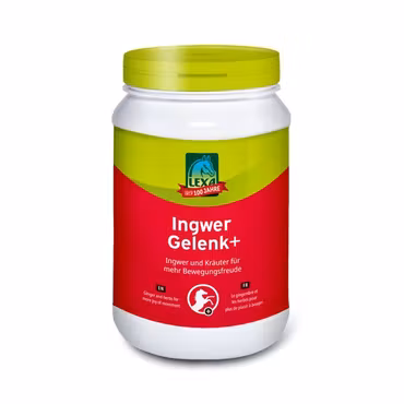 LEXA Ingwer Gelenk+ (Ingefær ledd)