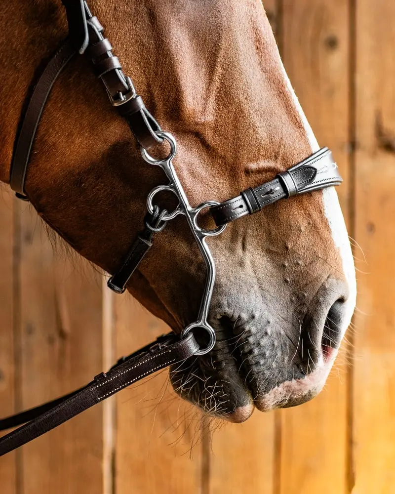 Fager Hunter Hackamore, sidestykker