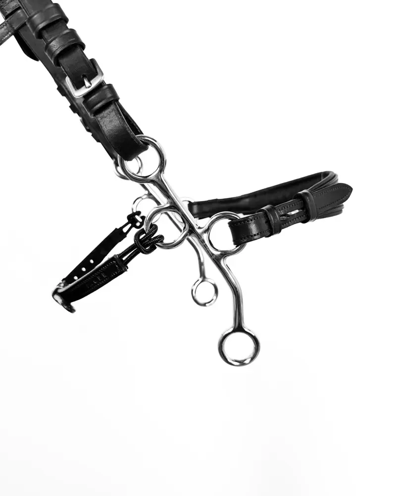 Fager Hunter Hackamore, sidestykker
